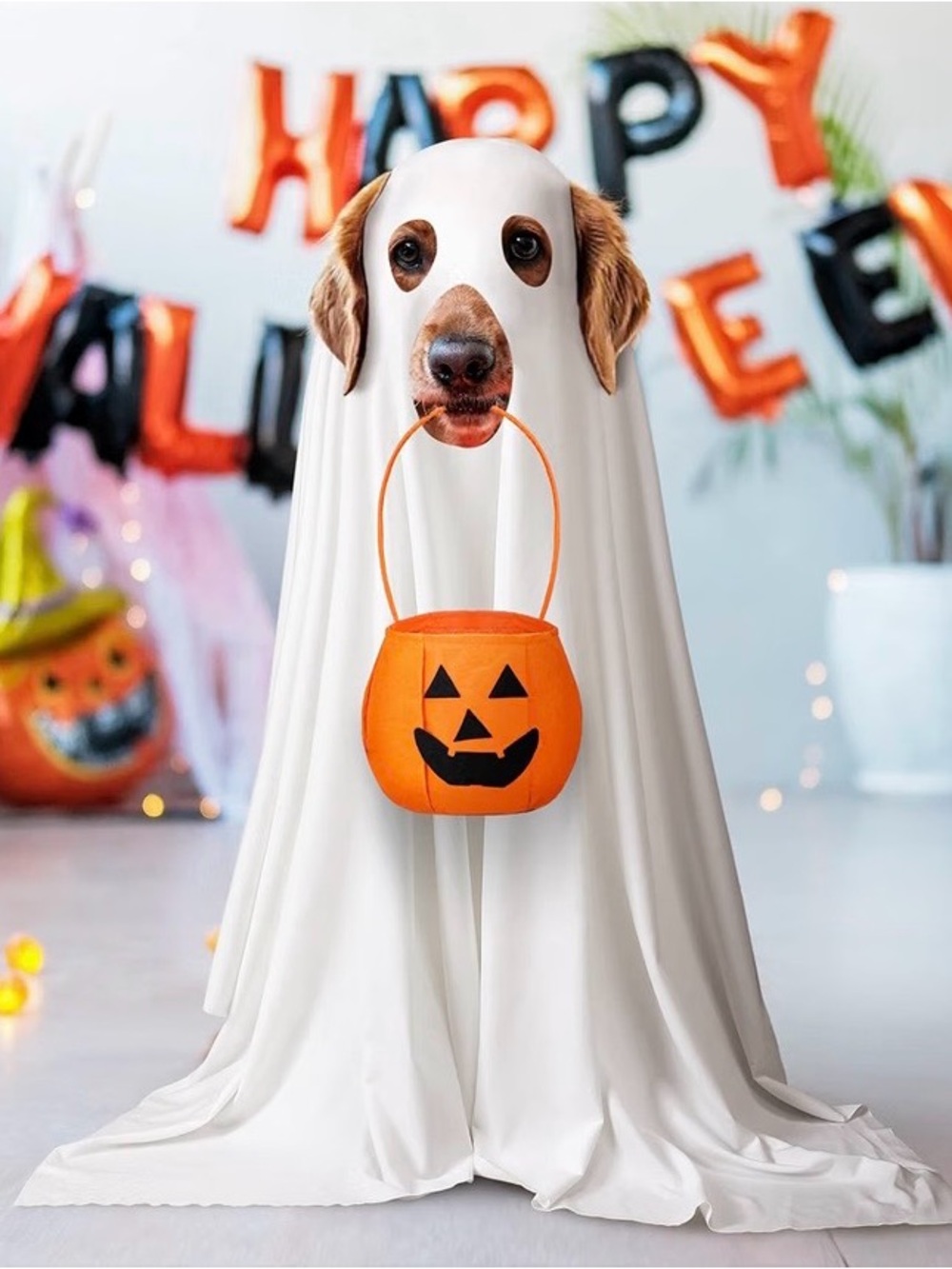 Dog Halloween Ghost Costume with Orange Pumpkin Bucket